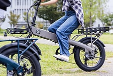 Flextrack Carrier Edition