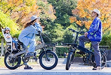 Flextrack Child Seat Edition