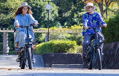 FLEXTRACK by Bronx Cycles